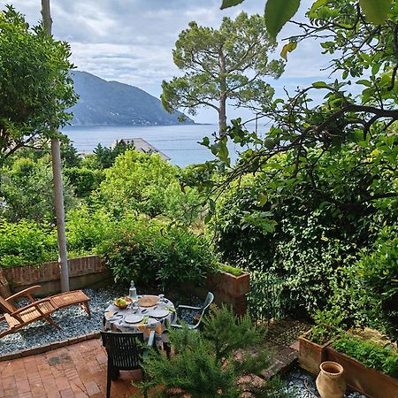 B&B La Taverna Di Mulinetti Recco Exteriér fotografie