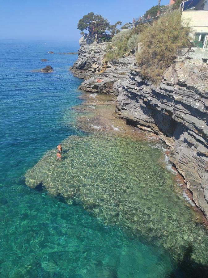 B&B La Taverna Di Mulinetti Recco Exteriér fotografie